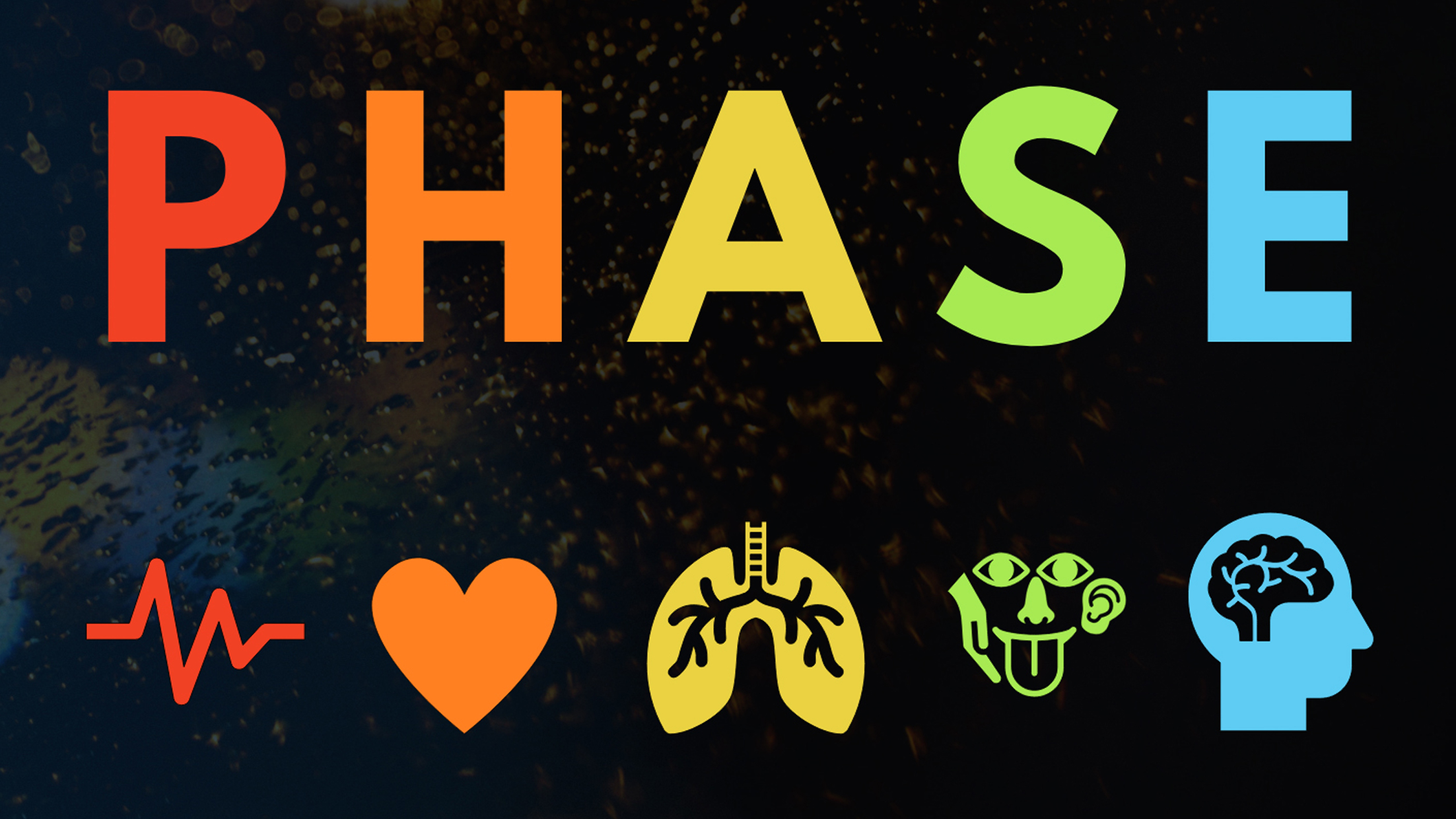 Beitragsbild PHASE, eine Novelle von Indra Kohl